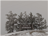 Welcome to Bismarck Sign Winter - Photo Credit - Mary Halverson  