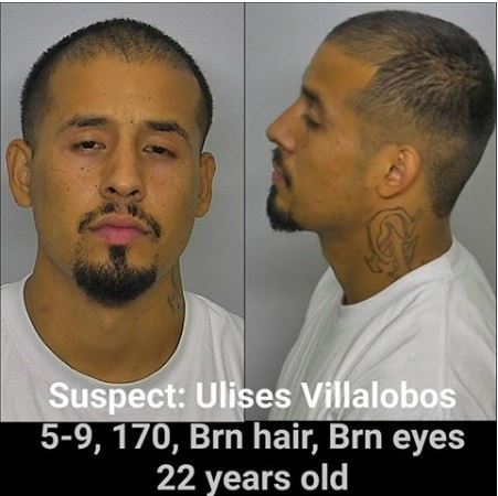 villalobos suspect