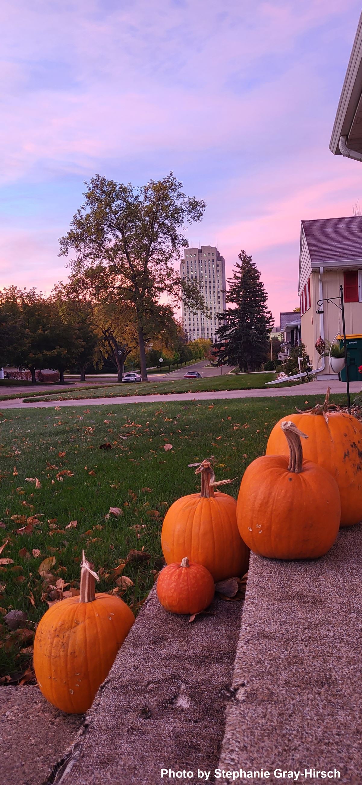 Pumpkins Near the Capitol by Stephanie Gray-Hirsch
