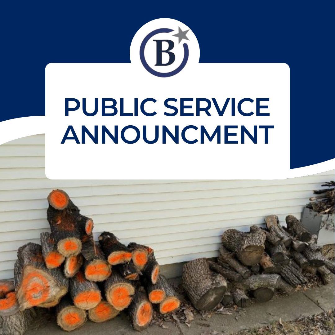 FORESTRY Public Service Announcement 2 