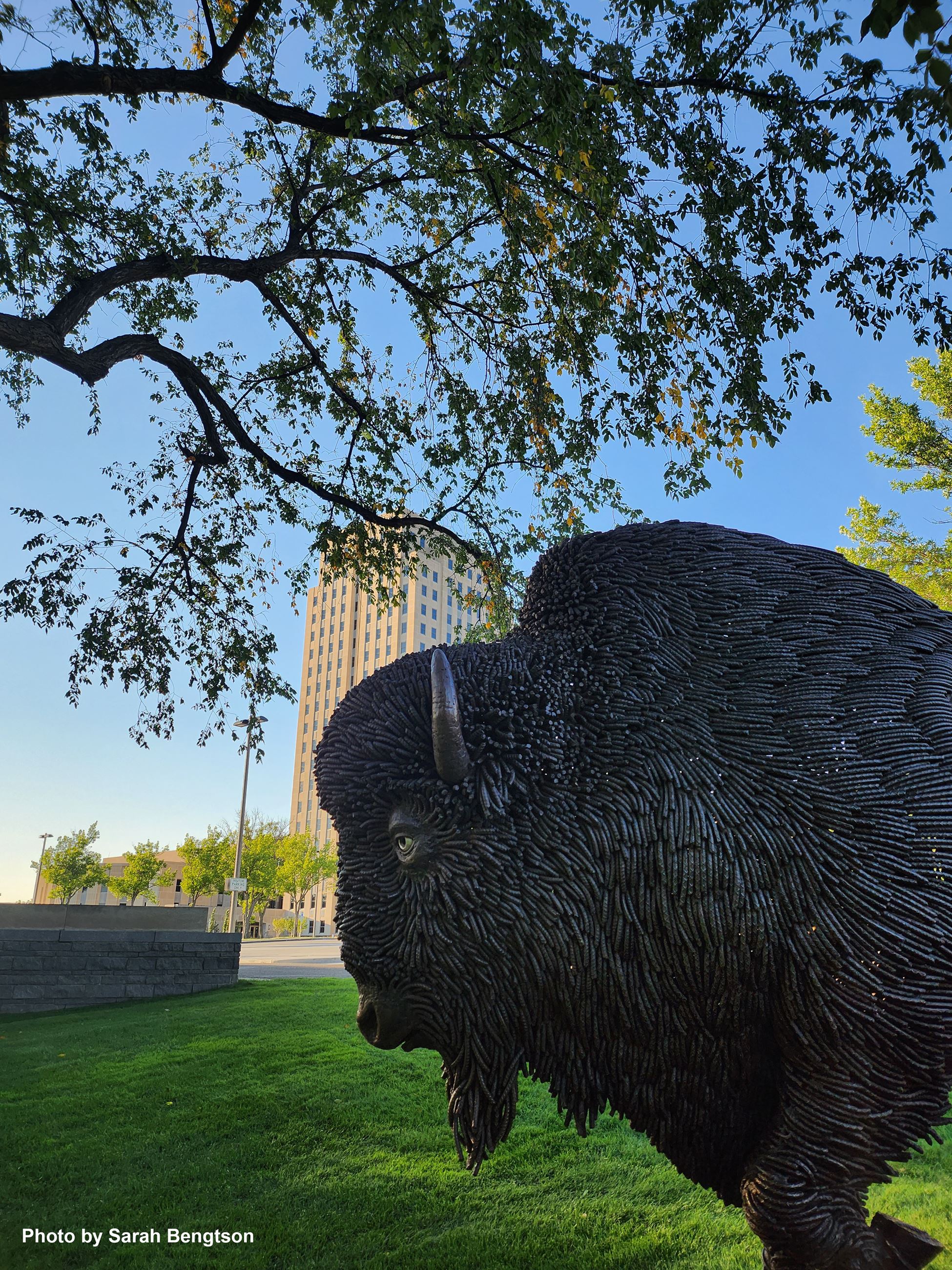 Buffalo Statue by Sarah Bengtson