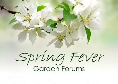 Spring Fever Garden Forums
